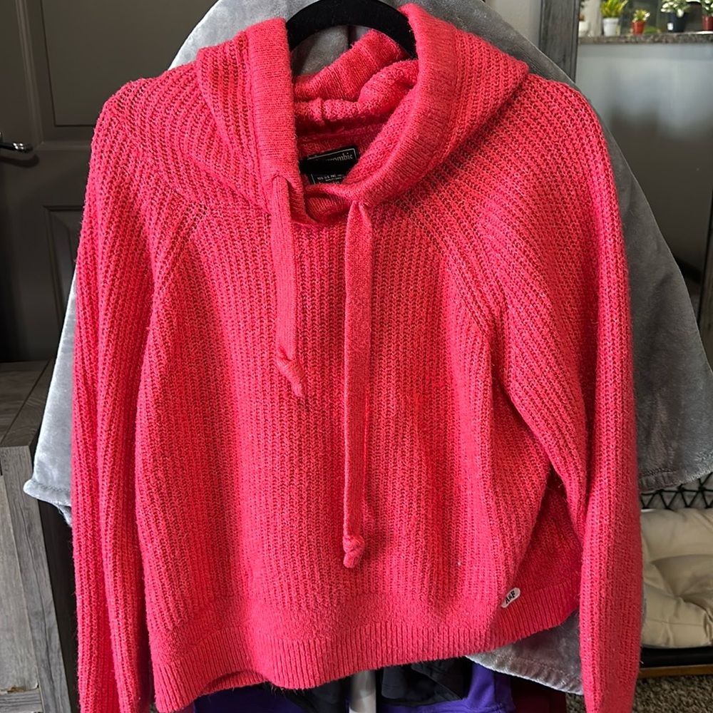 Abercrombie and Fitch Hoodie